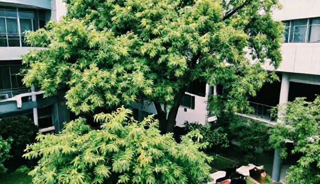 技术开发服务选型建议:如何选择适配方案